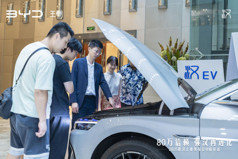 比亚迪 (4).png