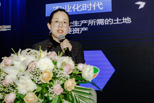 图片 12.png