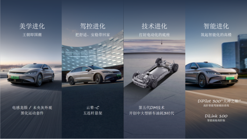 比亚迪 (1).png