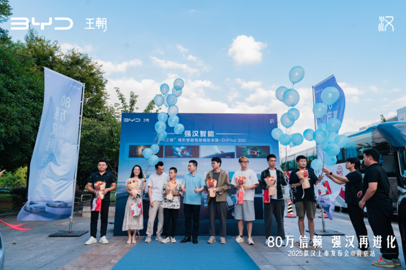 比亚迪 (3).png